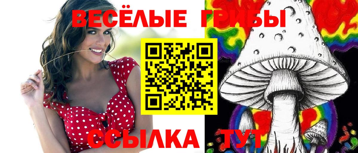 Псилоцибиновые грибы Magic Shrooms Горно-Алтайск