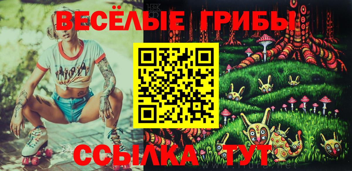 сколько стоит  Псилоцибиновые грибы GOLDEN TEACHER  Псилоцибиновые грибы прущие грибы  Вход с VPN  Горно-Алтайск 